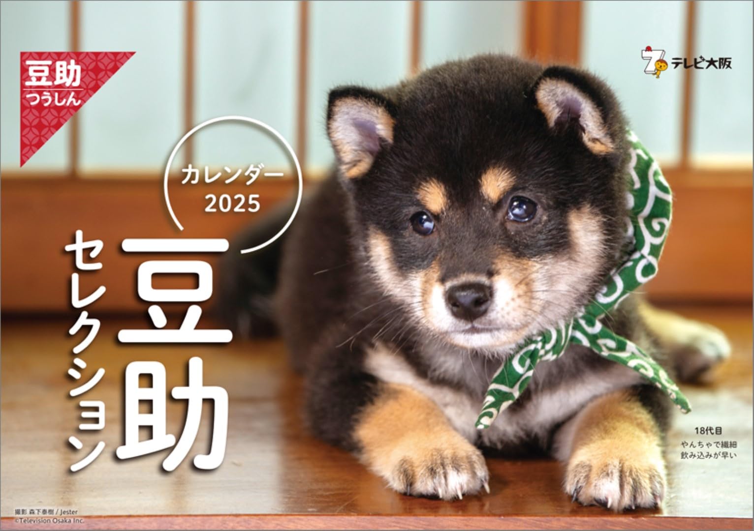 Amazon.co.jp: ハゴロモ 卓上 歴代豆助セレクション 2025年 卓上