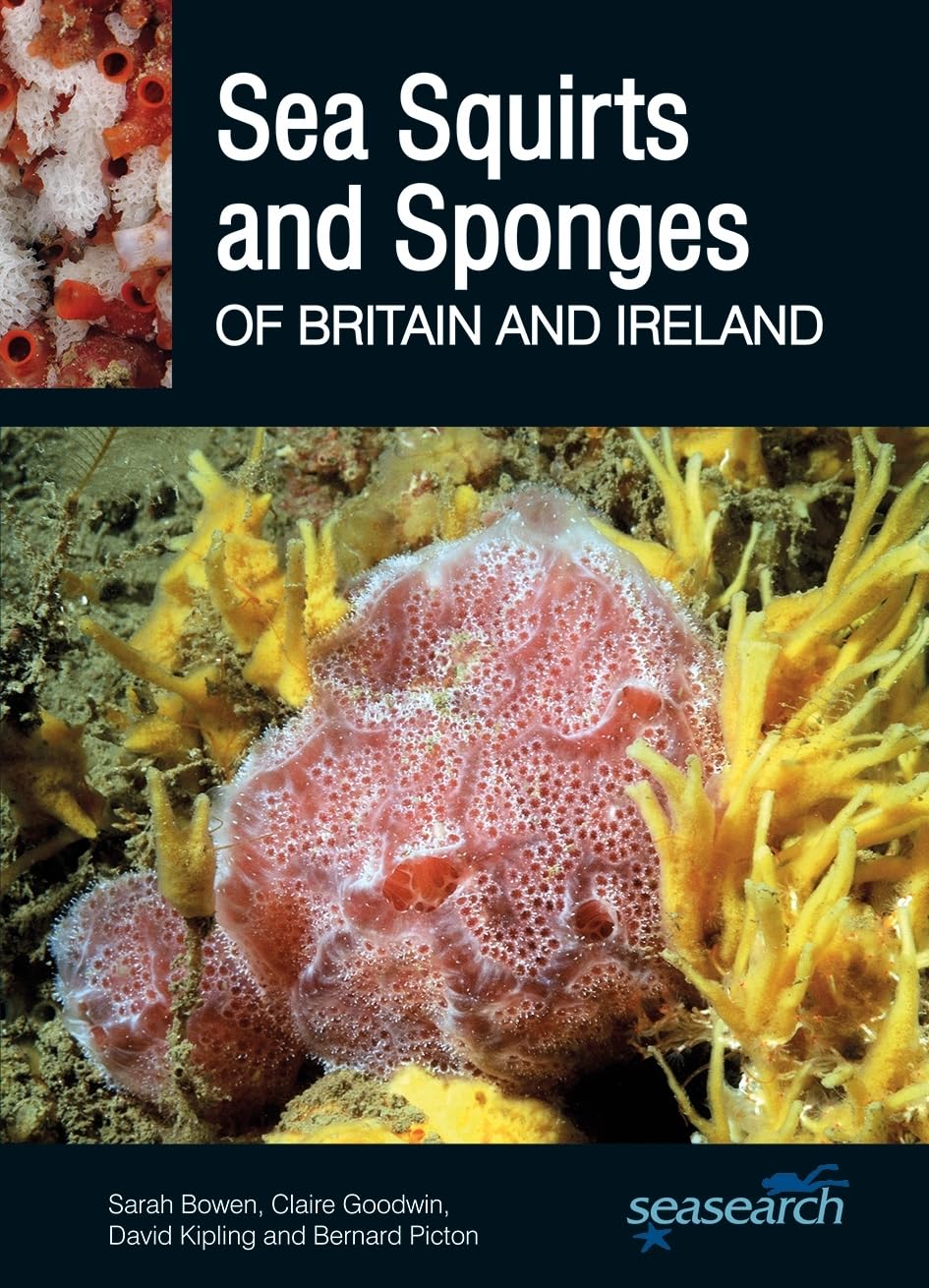 Sea Squirts and Sea Sponges of Britain and Ireland: 11 (Wild Nature Press)