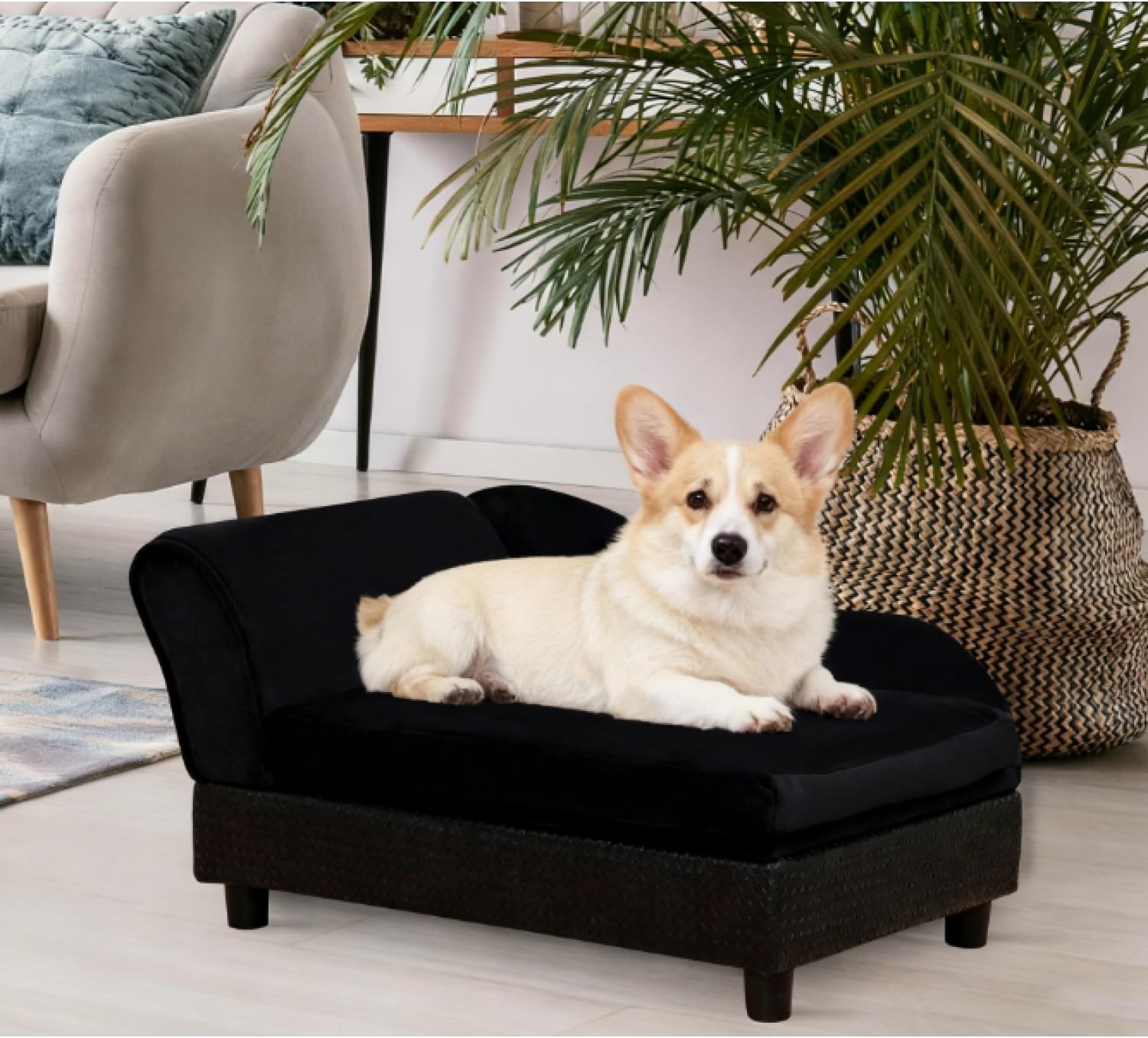 Pet Sofa with Storage for Small Dogs and Cats