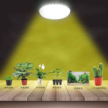 植物育成ライト 10W 5800K 3個 黒色 太陽光 フルスペクトルLED30 植物育成ライト LED 育成ライト 植物 植物ライト 観葉植物 3灯