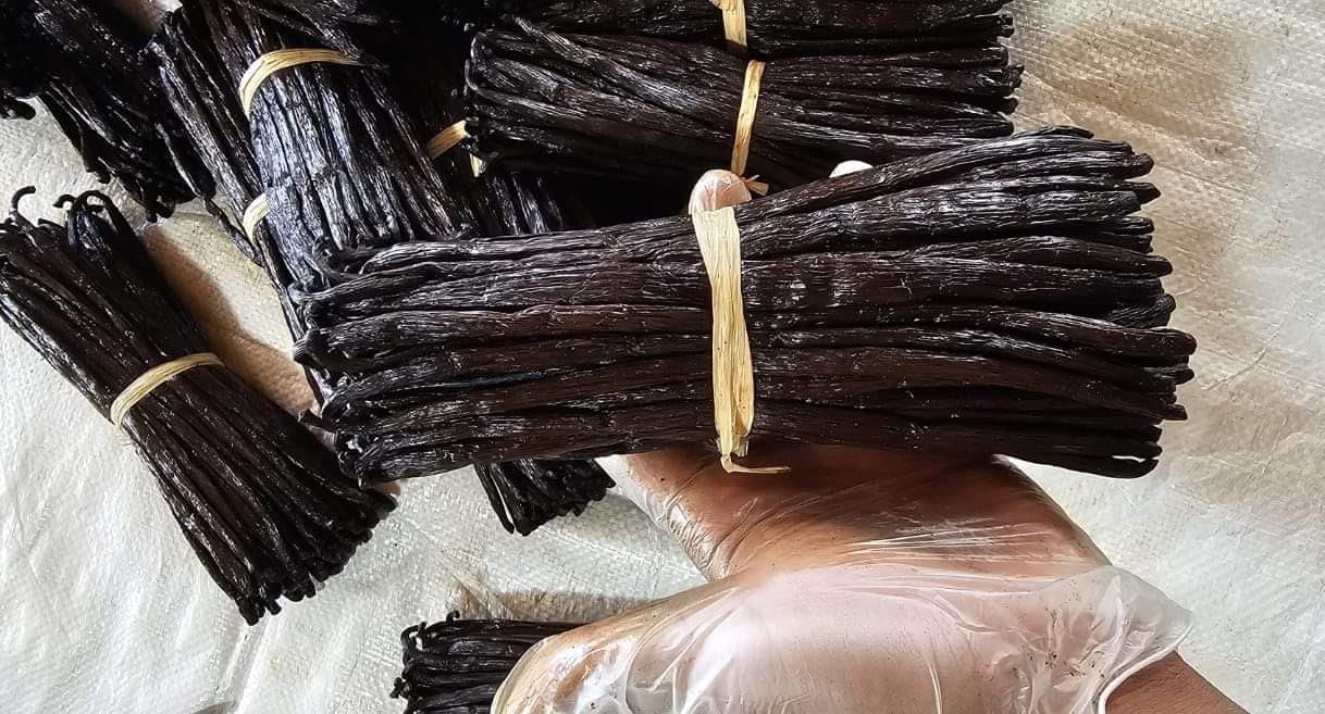 Vaniglia Bourbon del Madagascar - Bacelli Interi, Profumati e Carnosi - Confezione da 1 Kg - Prezzi da Ingrosso e Convenienti - Prodotto Premium per Professionisti (vaniglia da 14 a15 cm)