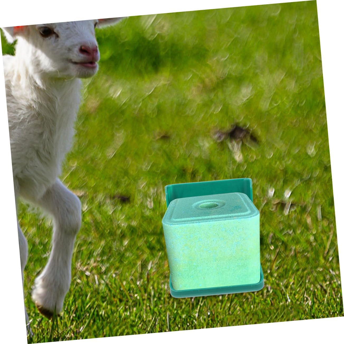 Toyvian 2pcs Cattle Sheep Salt Block Feeder Durable Mineral Lick Rack for Livestock Easy to Assemble Salt Food Box and Sheep Made of