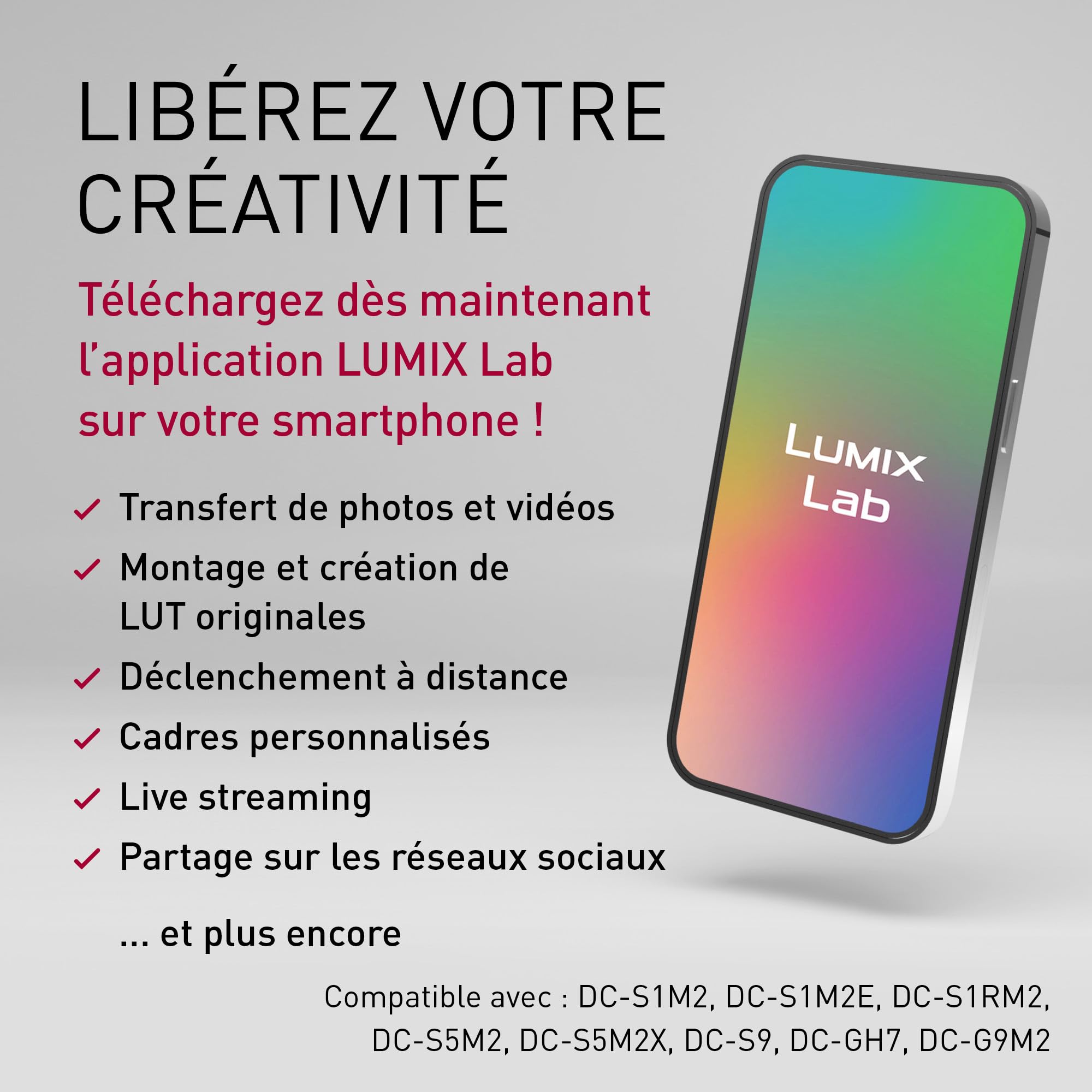 Panasonic LUMIX S1RII Appareil Photo Hybride avec Objectif 24-105mm F4, Capteur Plein Format 44,3MP, Vidéo 8K, AF Hybride à Détection de Phase, Double Stabilisateur, Audio 32-bit - Kit Complet