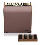 TC-Helicon Harmony V100 100 Watt 2 Channel Acoustic Amplifier with Vocal Processing, Looper, Tannoy Dual Concentric Speaker and 4-Button Footswitch