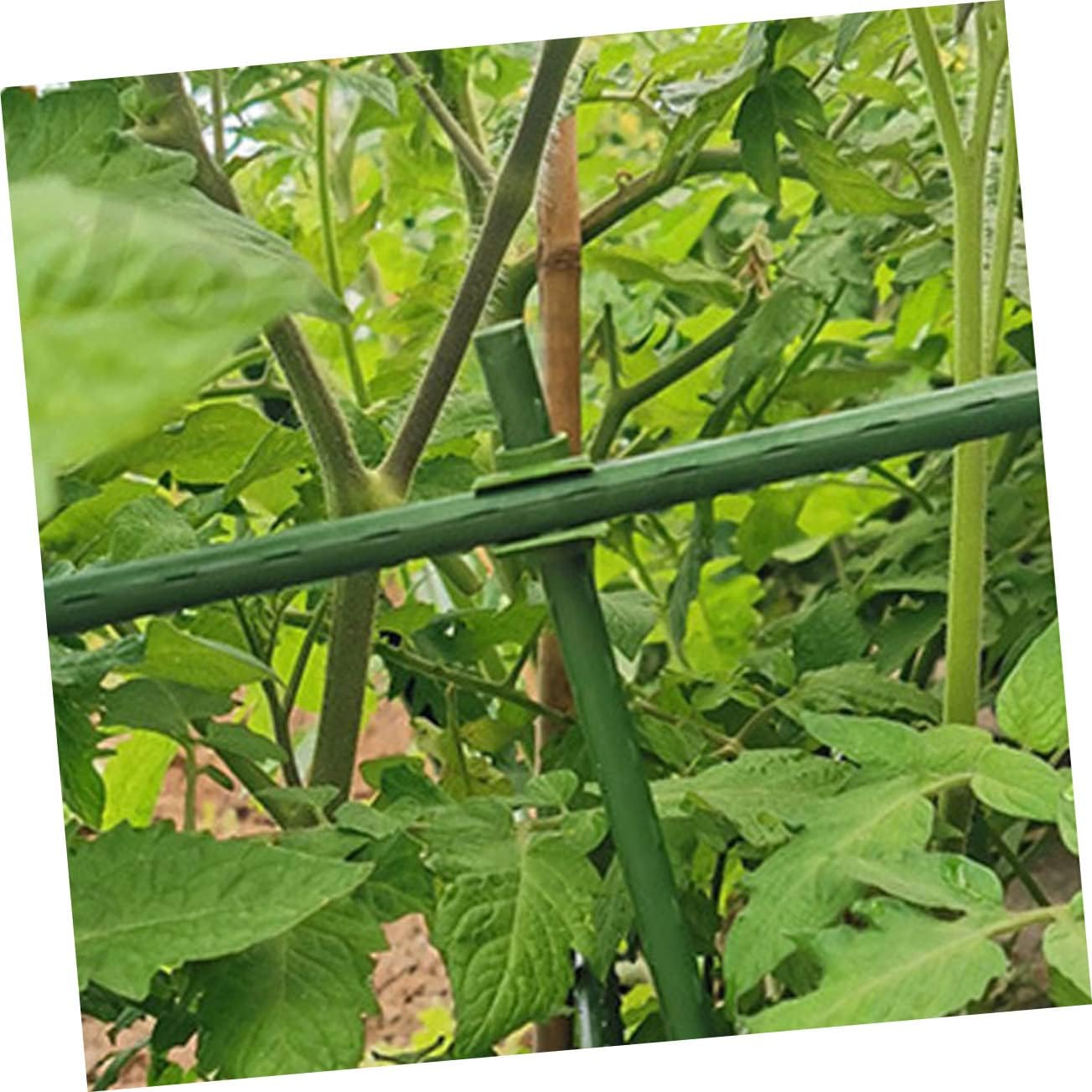 BESPORTBLE 250pcs Climbing Plant Support Hose Guides for Supports for Leaning Trees Plant Clips for Flower Rattan Plastic Buckle Fixed Buckles Vine