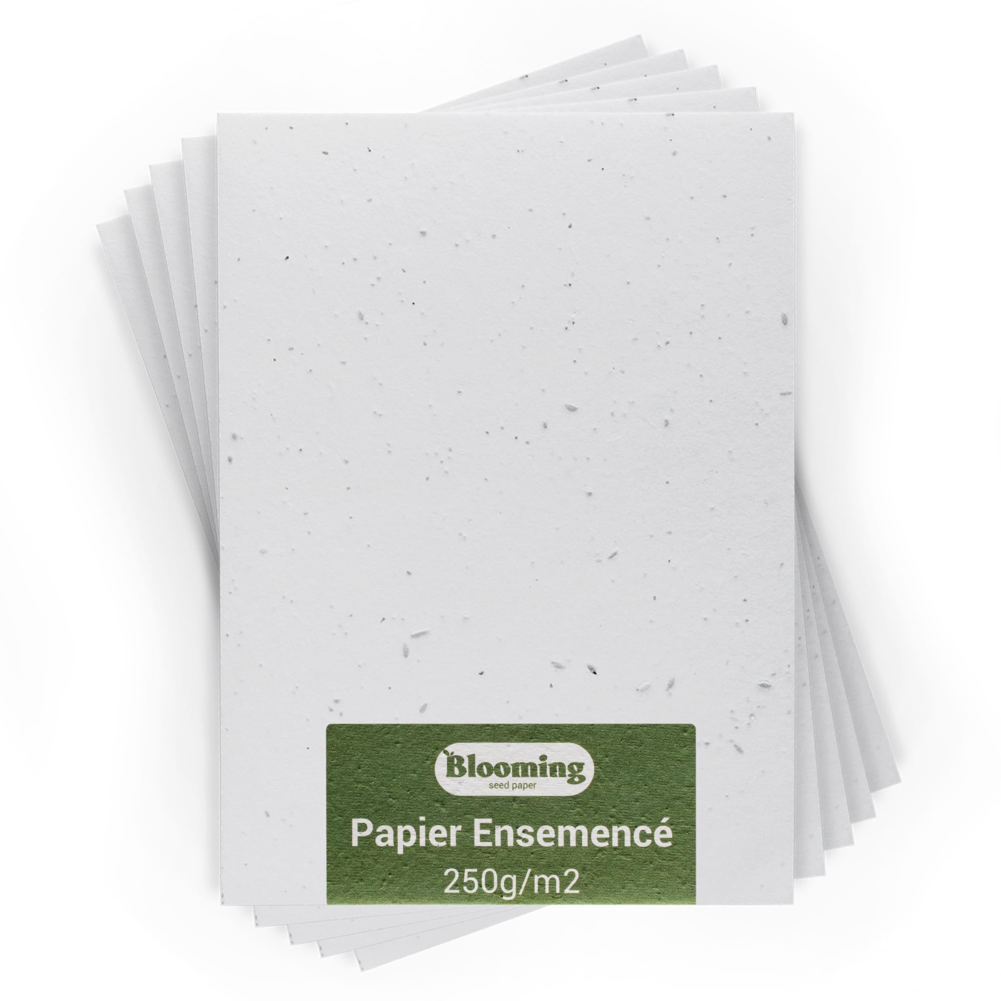 BLOOMING Papier Ensemencé - Lot de 25 feuilles à planter - Format A4 250g/m2-21x30 cm - Blanc Vierge - Graines de fleurs sauvages biodégradables - Cartes, invitations, impressions