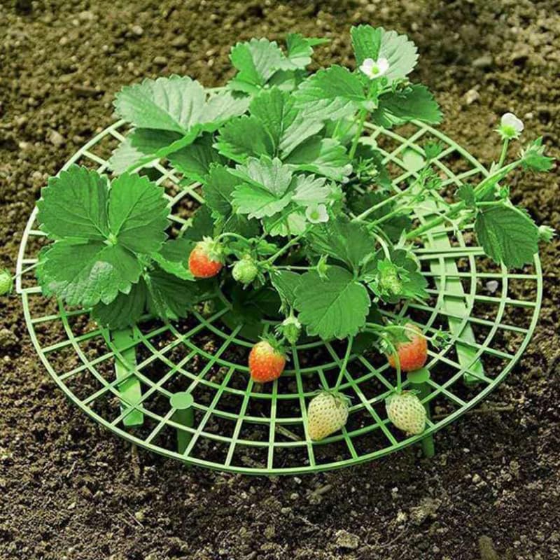 Set de herramientas para jardinería con enrejado para plantas miniatura 2