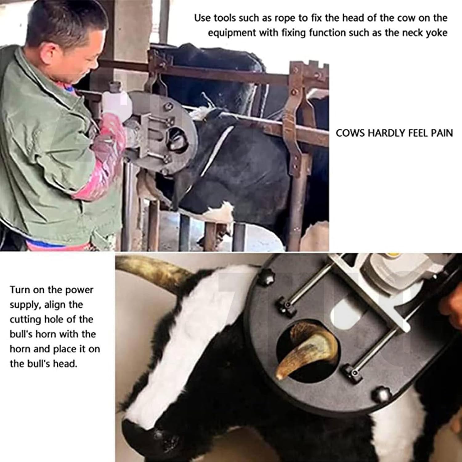Decornatore Elettrico per capre e vitelli, decornatore Elettrico per bovini, Macchina per la rimozione delle Corna da 1700 W per Animali veterinari, fattorie, Ranch, per Attrezzature agricol