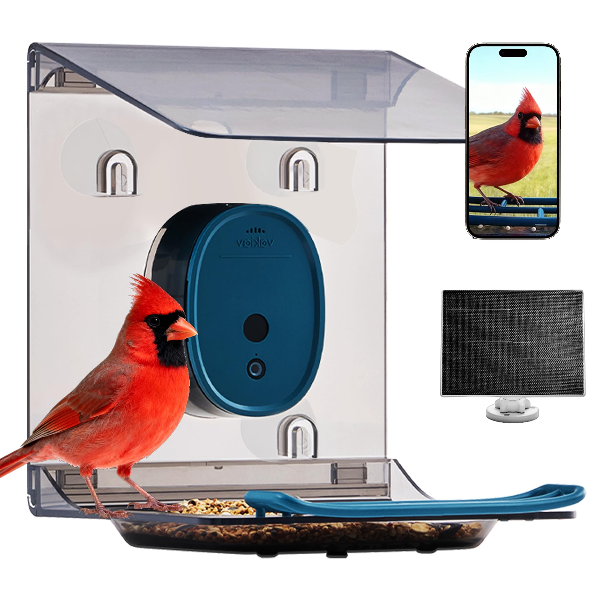Window Smart Bird Feeder with Camera,Solar Powered,2K HD Video&AI Bird Identification,Link via Signal Transmitter (Plug to Router),Easy QR Code Setup,Instant Arrival Alerts,Elderly-Friendly,Blue