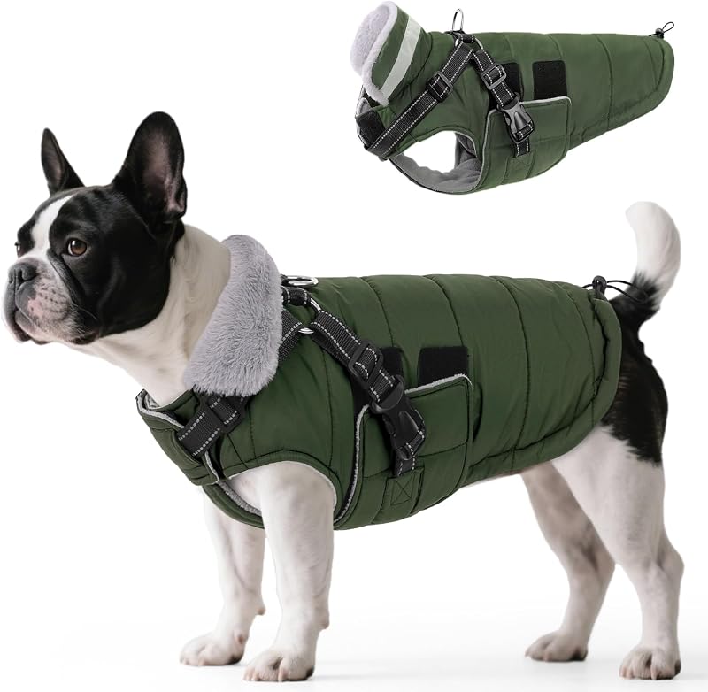 Casaco de inverno para cães com peitoral integrado Queenmore, impermeável e ajustável, Verde Militar, tamanho M