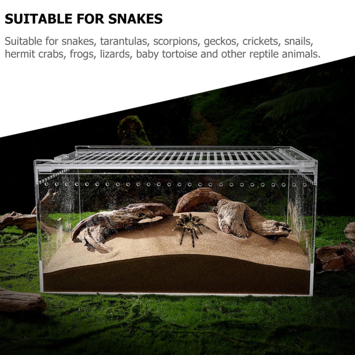 Recinto Acrílico para Alimentación y Cría de Reptiles, Ventilación