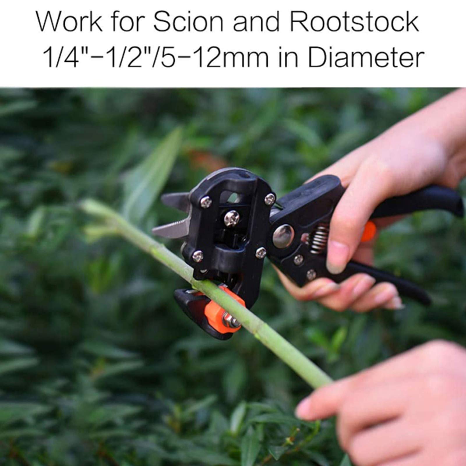 TEmkin Kit di Attrezzi per innesti da Giardino, Kit di Strumenti per innesti 2 in 1, cesoie per potatura con Lame di Ricambio, per Rami di Piante, Viti, Alberi da frutto, innesti, Giardino o Prato