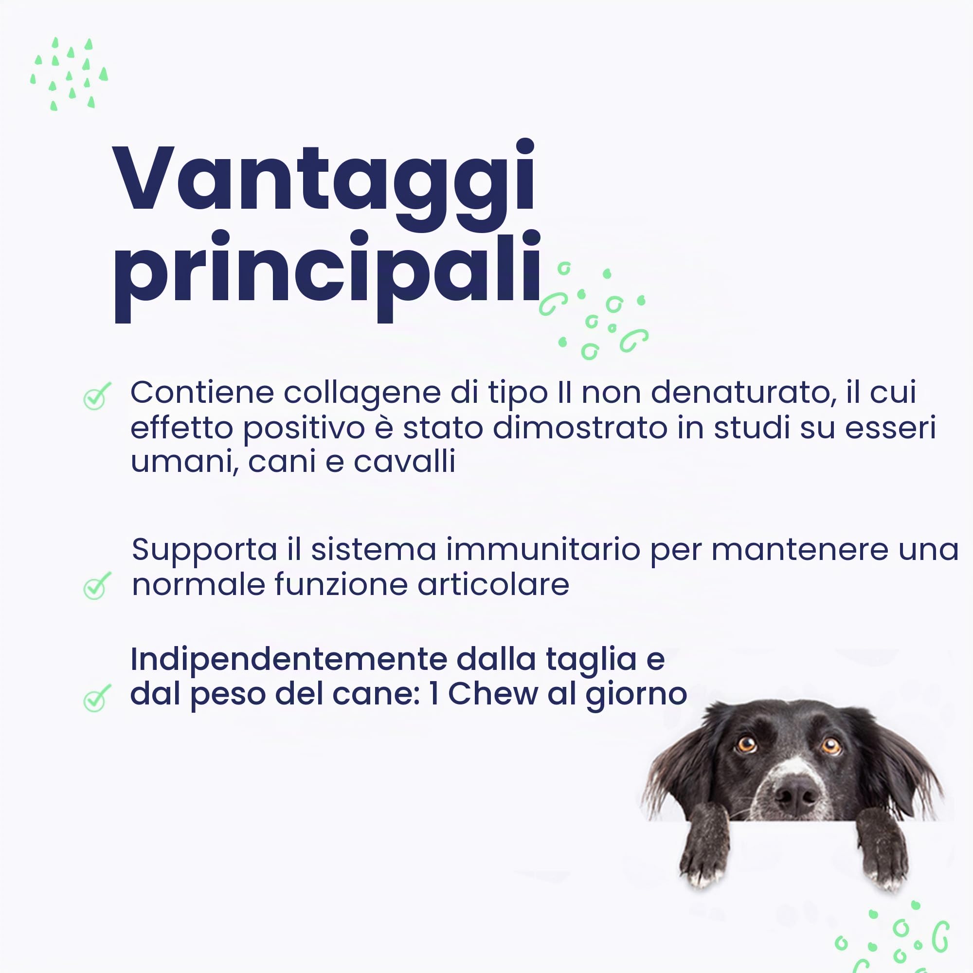 Vetoquinol Flexadin Advanced antiossidante per Cane