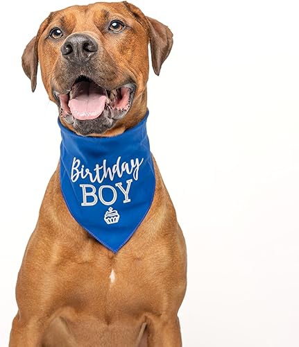 Miniatura 2 de Bandana estampada para cumpleaños con diseño de perro con cupcakes (Royal OS 214)