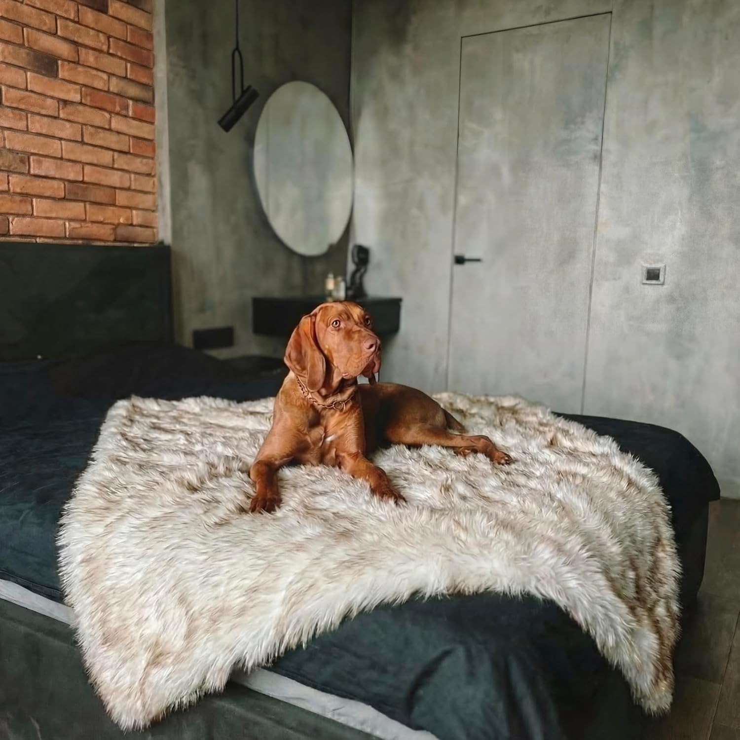 Waterproof Dog Blanket for Small, Medium & Large Dogs – Faux Fur Pet Throw for Couch, Sofa, Bed & Car – Soft, Washable, Stain-Resistant, Durable Cover – White w/Brown Tips – 80" x 60" - Image 3