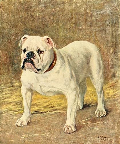 Posterazzi - Póster (7.1 x 9.4 in), diseño de Bulldog