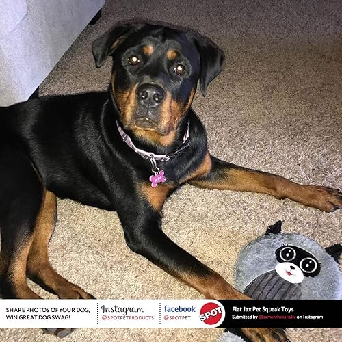 Miniatura 3 de SPOT Flat Jax - Juguete para perros y cachorros con chirriador duradero de tamaño jumbo que mantiene el chirrido incluso si se perfora, ideal para