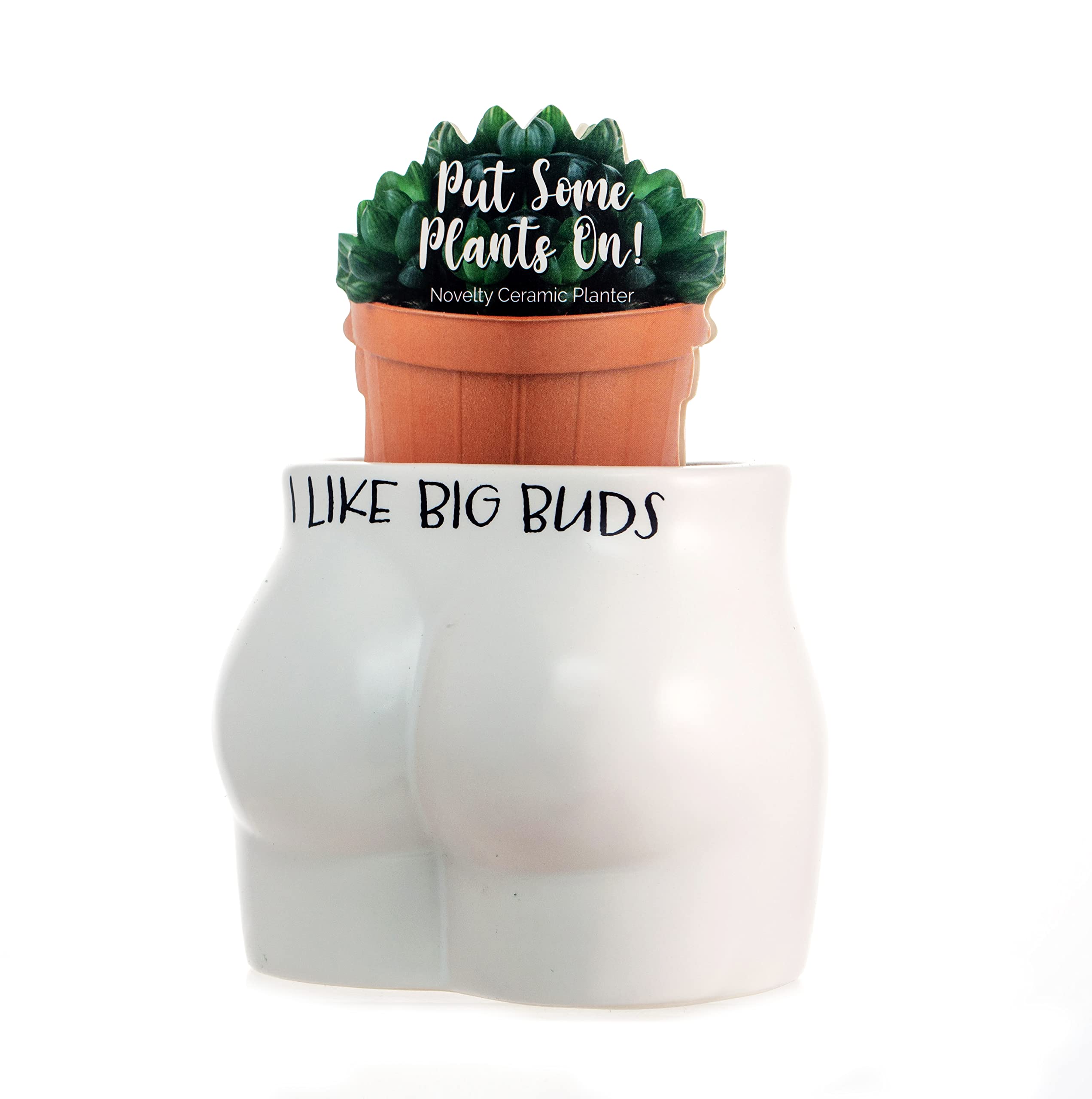 Boxer Gifts Like Big Buds Novelty Body Shaped Planter | Funny Rude Home Décor Gift, Ceramic, White, One Size (GC1325)