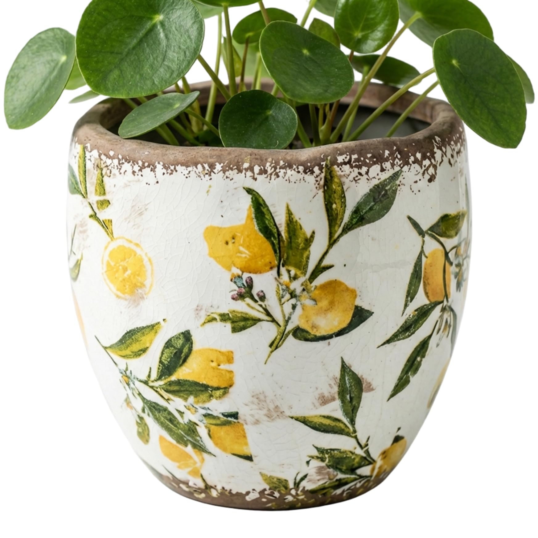 BeVistoso Tuscan Ceramic Planter Yellow with Vintage Crackle Glaze for Indoor Outdoor Garden Patio Home Decor