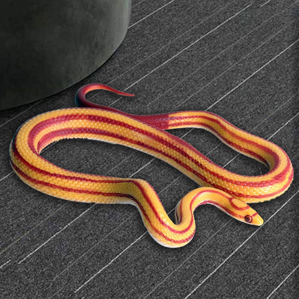 corn snake leash