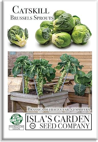 Catskill - Semillas de coles de Bruselas para plantar, más de 300 semillas tradicionales por paquete, semillas de jardín de Isla (semillas de jardín