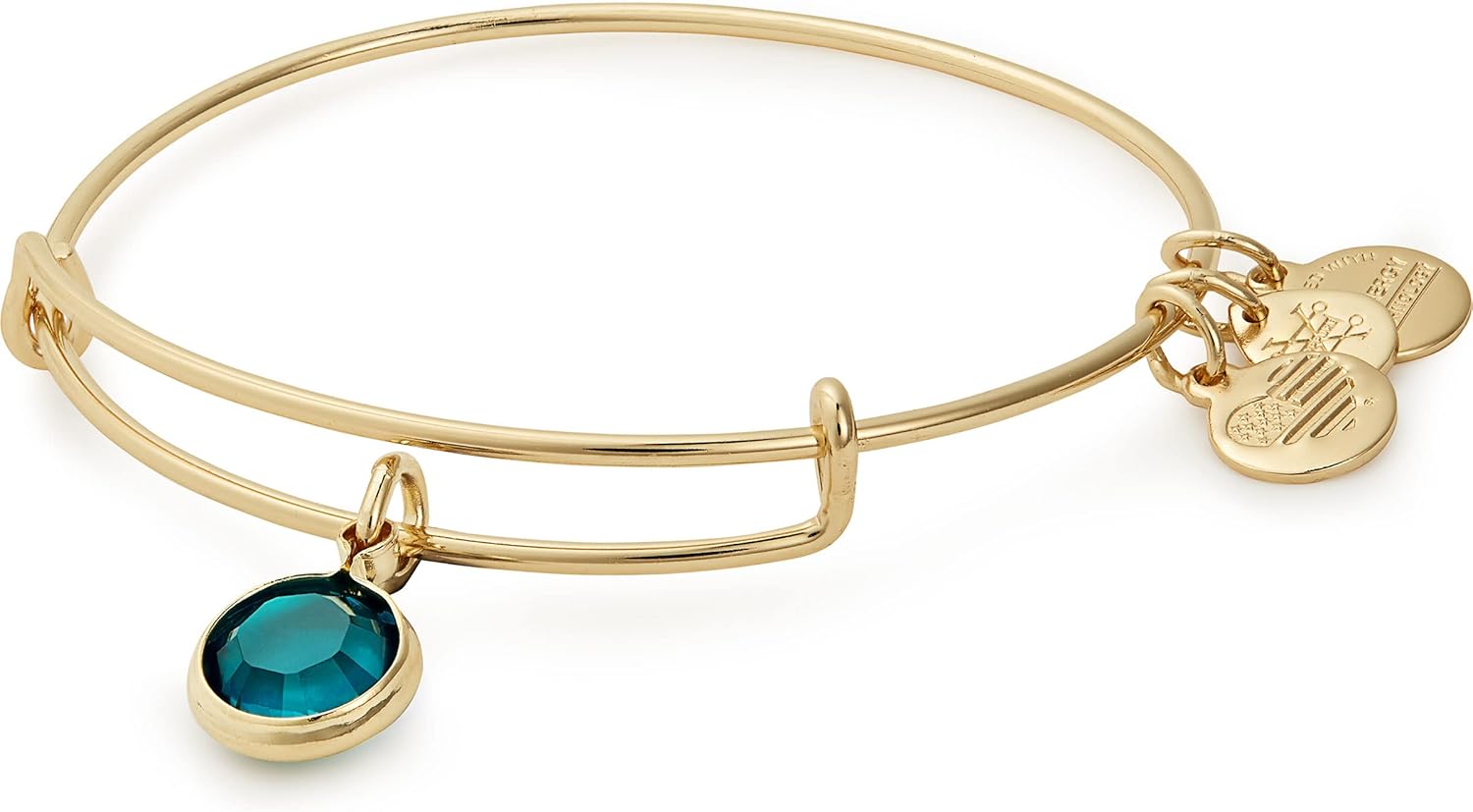 Alex and Ani Birthstones Expandable Bangle for Women, Light Amethyst Crystal Charm for June, Shiny Silver Finish, 2 to 3.5 in : Clothing, Shoes & Jewelry