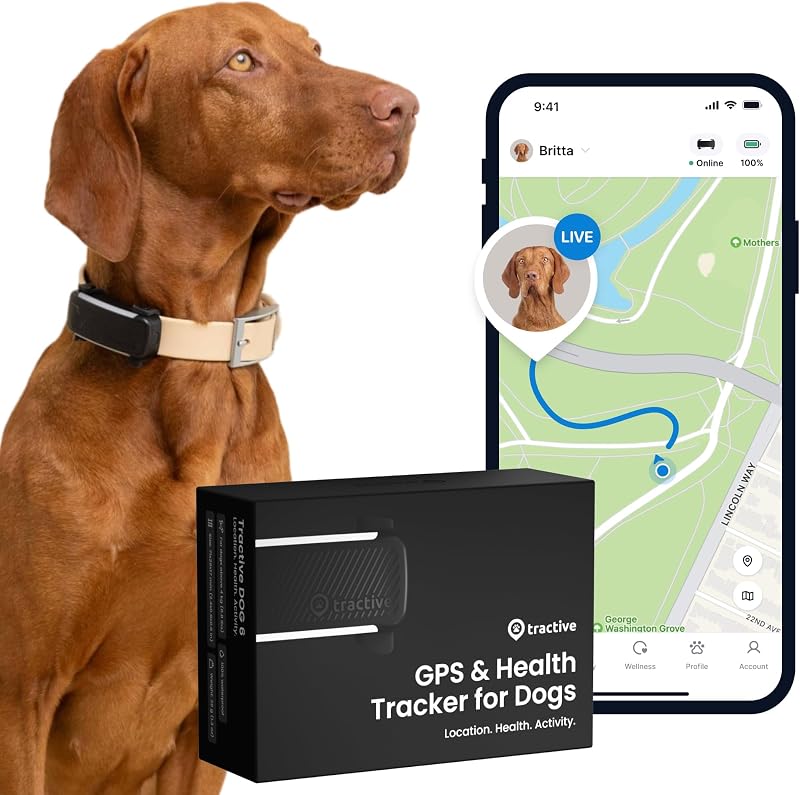 Tractive GPS Tracker – von grubenhund empfohlenes Hundezubehör