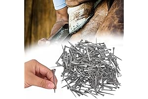 Lukar 250pcs E5 Stainless Steel Horseshoe Nails