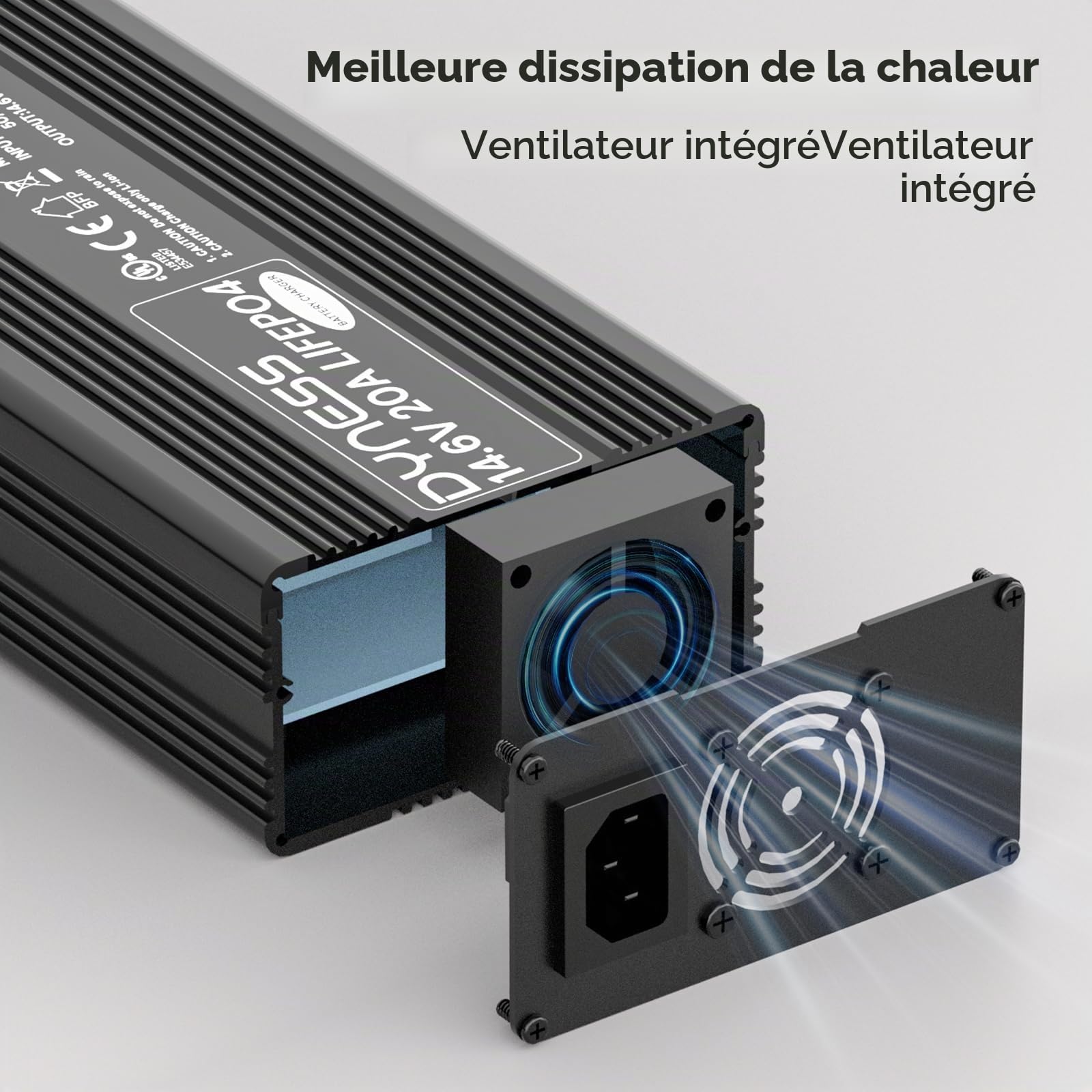 Dyness Chargeur de Batterie LiFePO4 14,6V 20 A pour 12V LiFePO4