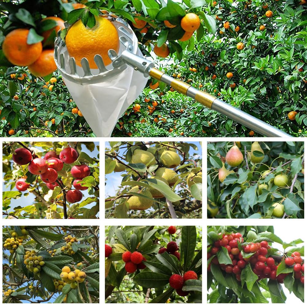 LekLai Obstpflücker, Obstpflücker-Werkzeug, Obstpflücker Mit Teleskopstiel, Beerenpflücker, Apfelpflücker, Verstellbar, Mit Aufbewahrungstasche/700Cm/275.6In