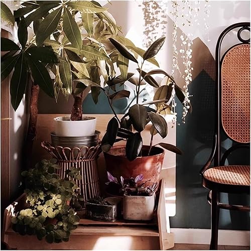 Miniatura 5 de sillas de comedor Silla de comedor de madera maciza con respaldo alto Hotel Restaurante Ocio Escritorio de ratán Cocina moderna