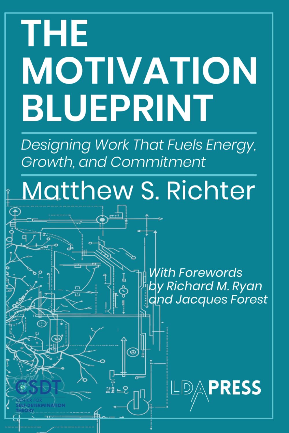 The Motivation Blueprint: Designing Work That Fuels Energy, Growth, and Commitment