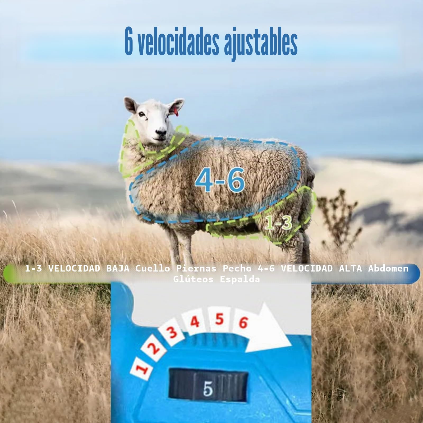 Máquina De Esquilar Ovejas Inalámbrica, Cortadora Eléctrica 300W Con 2 Baterías, Cuchilla 9/13 Dientes, 6 Velocidades Kit Para Lana Gruesa Ganado Cabras Alpacas 13-Teeth
