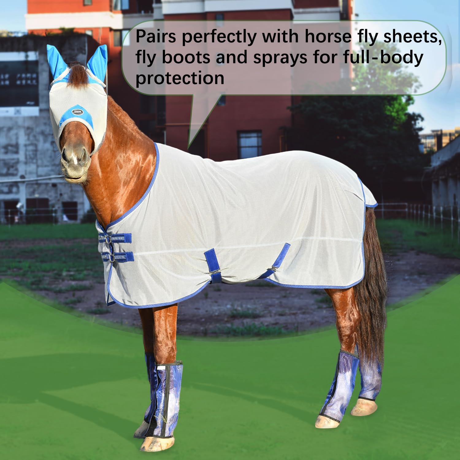 Fornyk Horse Fly Mask, Adjustable Fly Masks for Horses with Ears, Breathable and 70% UV Protection, Comfort Mesh Without Nose Cover, Horses Accessories (Grey, Blue, Medium) - image 7