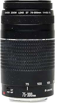 Amazon.com : Canon EF 75-300mm f/4-5.6 III Telephoto Zoom Lens for
