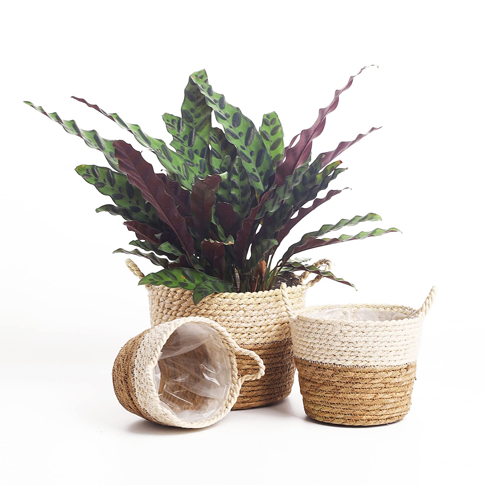 SaolGllS Plant Basket Planters for Indoor Plants - Plant Flower Pots Indoor Planters Decorative Pots for Plants Flower Rustic Farmhouse Planters with Handles for Home Décor Set of 3, Beige