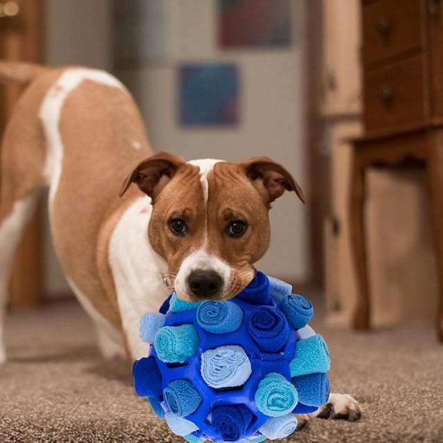 Foto 8 de 8 de Storaffy Snuffle Ball para Perros
