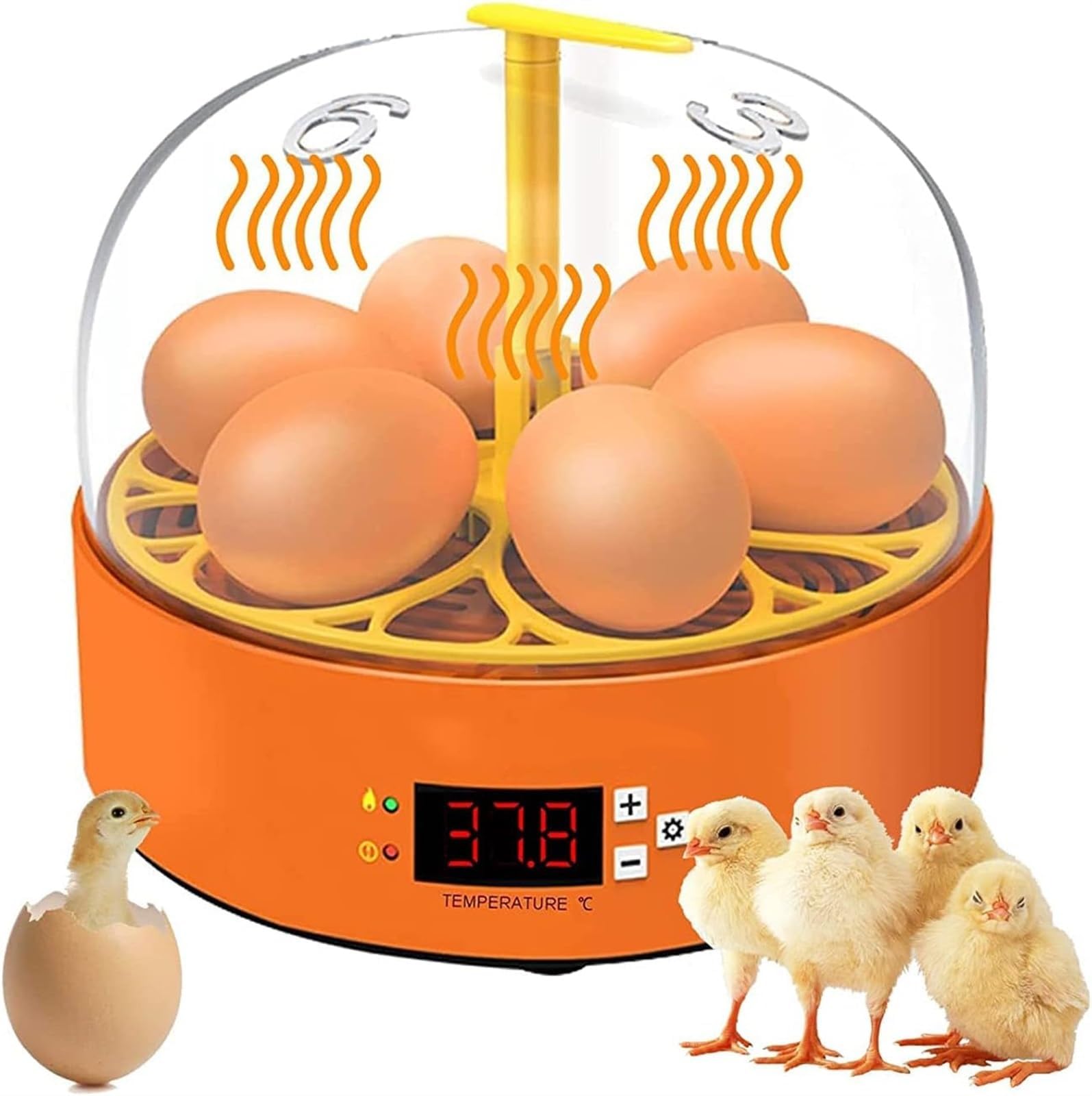 THE WHITE SHOP Egg Incubator -6 Eggs Automatic Incubators for Hatching Eggs，with Automatic Turner and Temperature Control Small Poultry Incubator for Hatching Chicken Quail Duck Bird Eggss