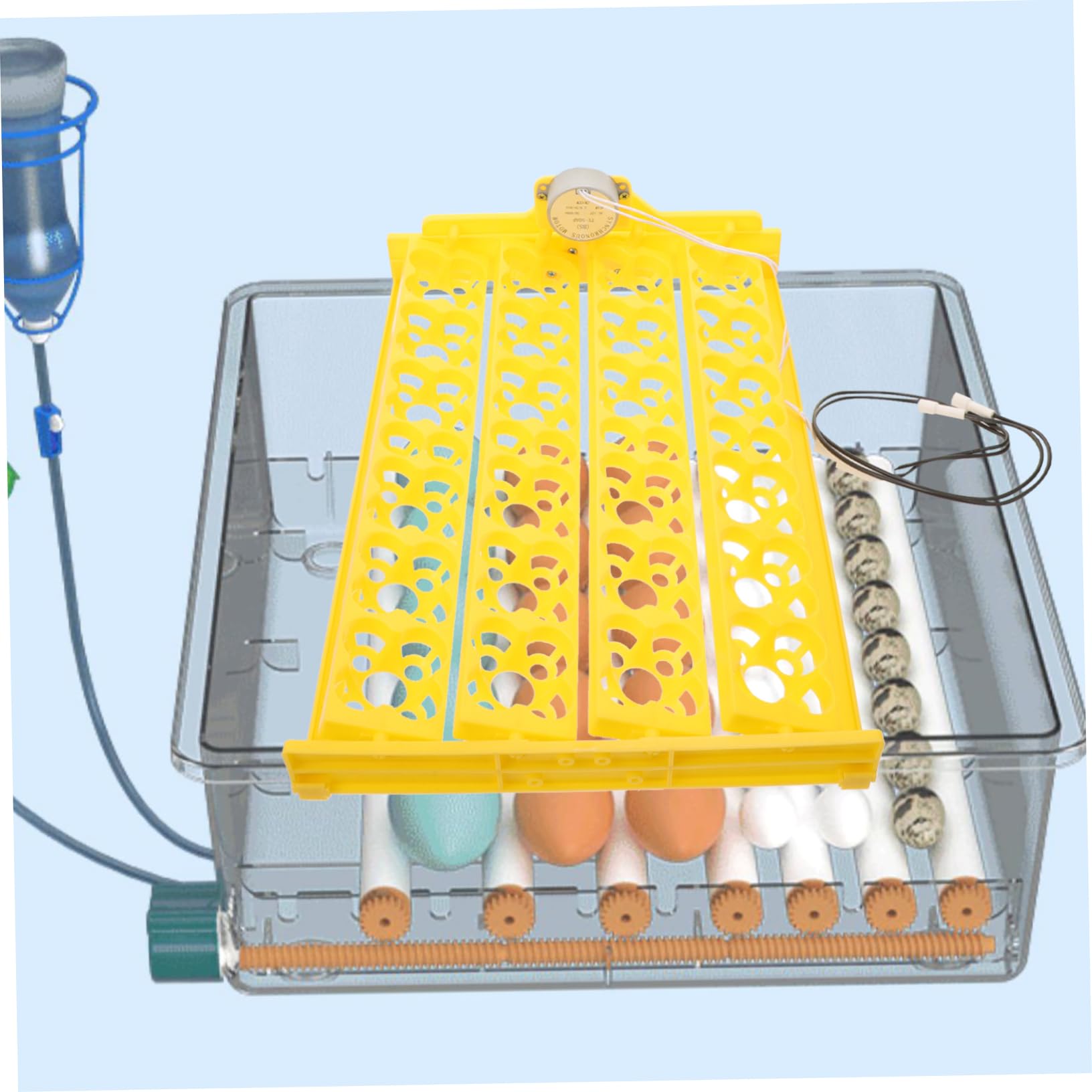 BESPORTBLE Vassoio Migliora L'efficienza di Schiusa la Percentuale di Sgusciatura per Incubatrice Automatica in Plastico e Metallo per Uova di Gallina e Tacchino
