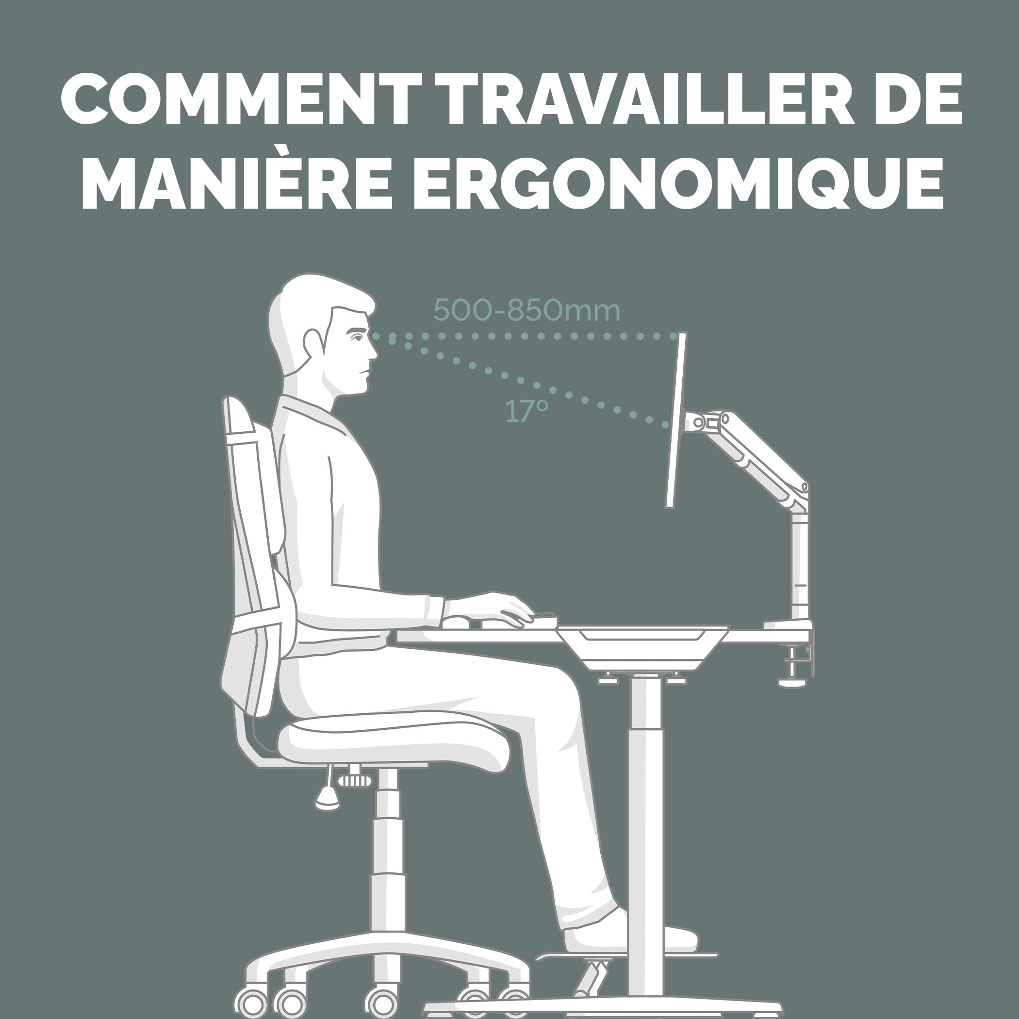 Fellowes Everyday Bras Écran Double Réglable – Supporte Deux écrans Jusqu’à 32" et 9 kg, Inclinaison, pivotement, Rotation, VESA 75/100, Fixation par Pince ou œillet, Gestion des câbles.