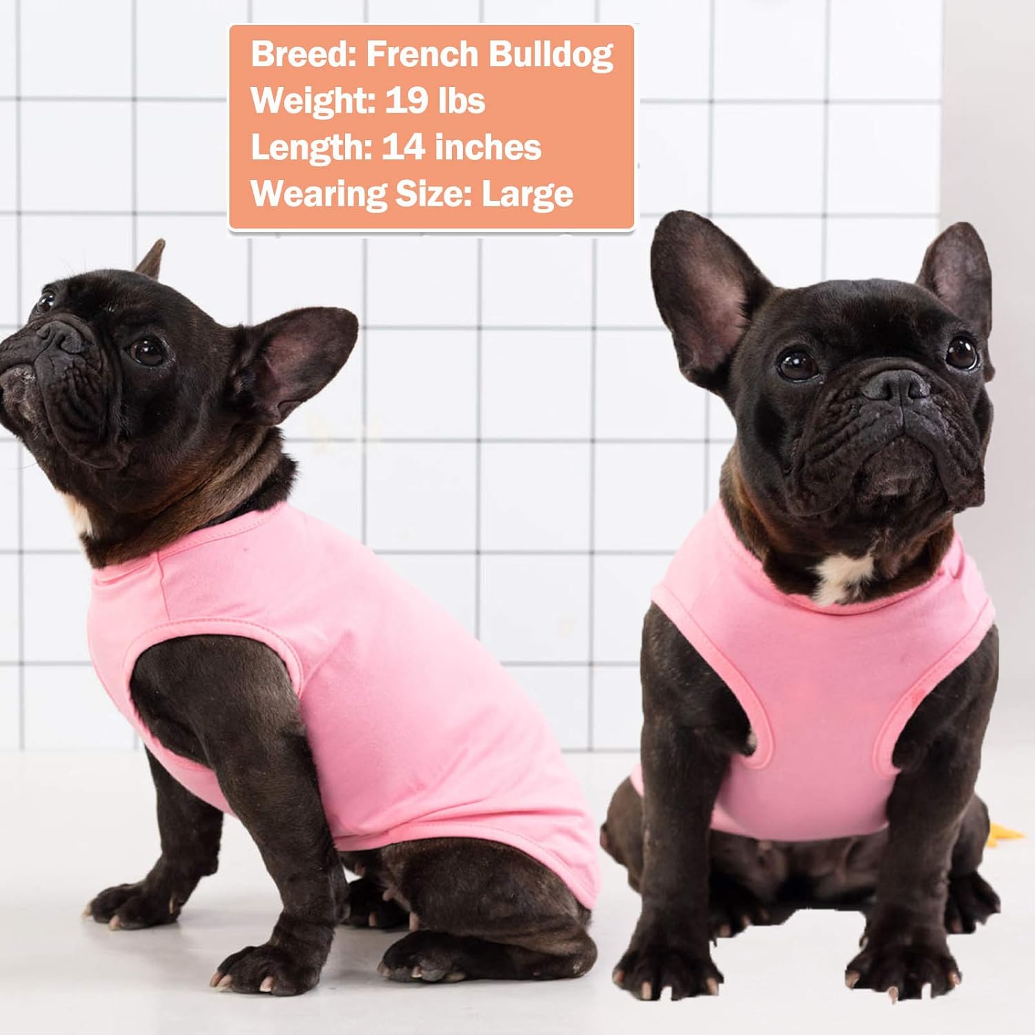 KYEESE 2 Pack Medium Dogs Shirts Striped Dog T-Shirts Soft Cotton Tank Top Sleeveless Vest Dog Tee Shirt Dog Apparel : Pet Supplies