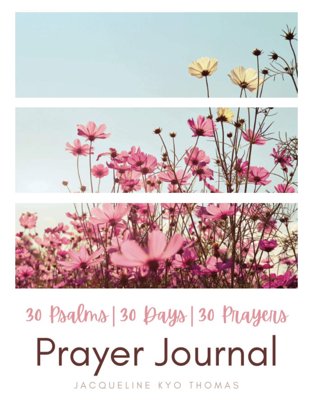 30 Psalms 30 Days 30 Prayers: Prayer Journal and Adult Coloring Book (Pray the Psalms)