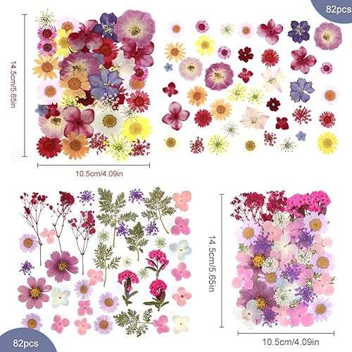 Vista 45 de 104 flores secas prensadas naturales de resina, flores secas para accesorios de resina, flores secas para álbumes de recortes, manualidades, moldes