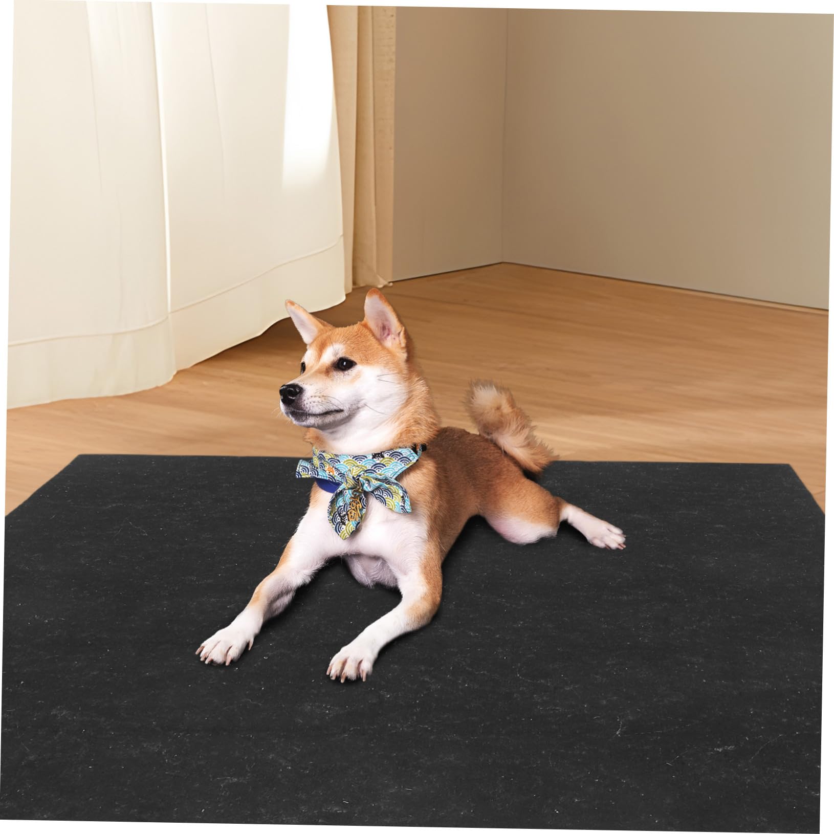 Toyvian Tapis de Propreté Réutilisable pour Chien, Barrière Urine, Feutre | Format Grand, Nettoyage Facile, pour Cage et Entraînement, Usage Chien et Animal Domestique