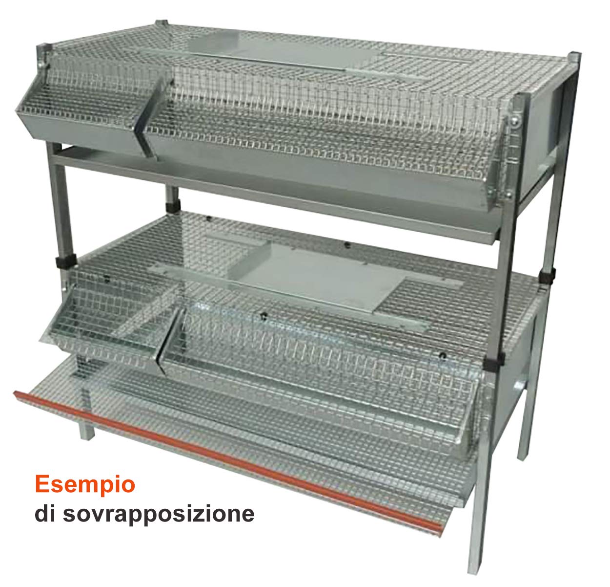 Gabbia Per Quaglie Ovaiole In Rete Zincata - Sovrapponibile Con Accessori Omaggio - Foto 3