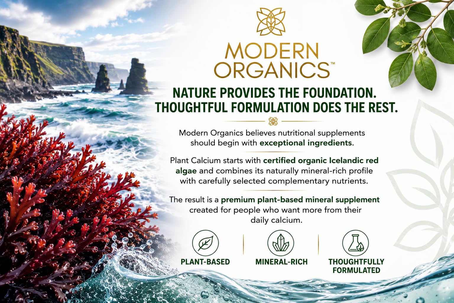 Plant Calcium | 1000mg Certified Organic Whole Food Calcium from Organic Icelandic Red Algae with Vitamin D3, Vitamin K2 and Magnesium | 72 Trace Minerals | 90 Vegan Tablets — Amazon image 9