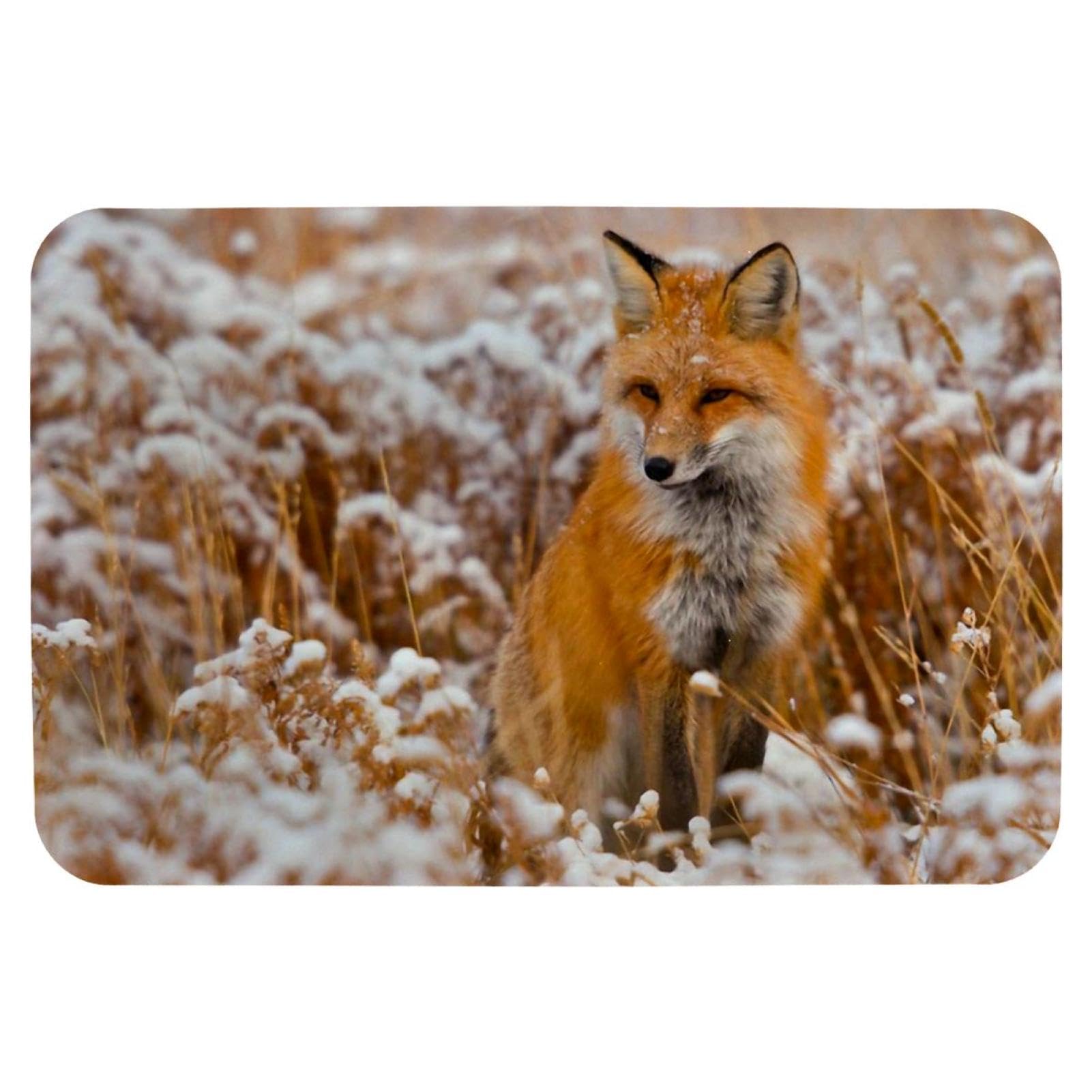 Tapis de bain Winter Fox antidérapant lavable 50x80 cm pour douche et baignoire