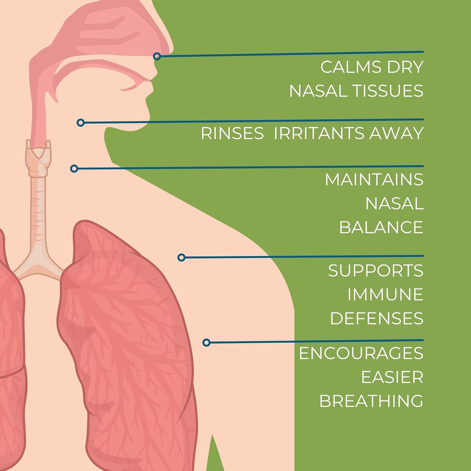 NOVEHA Xylitol Nasal Spray – Drug-Free Natural Moisturizer for Dry Nose, Sinus & Allergy Relief – Hydrating Saline Nasal Spray with Vitamin D3 & Grapefruit Seed Extract Gentle Daily Congestion Support