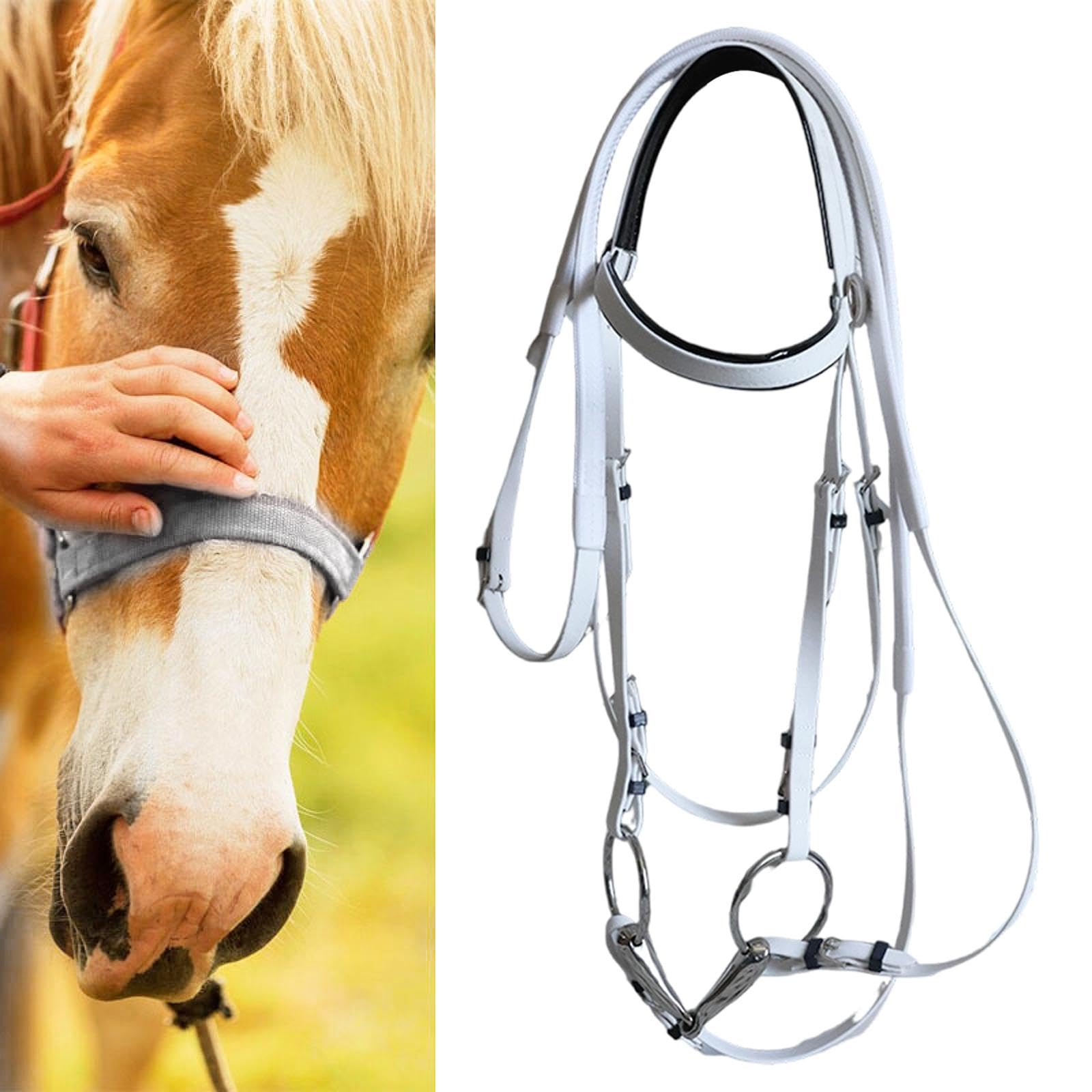 perfk Brida de Caballo con rienda de Acero Inoxidable, de Anilla, arnés Ecuestre, Cabestro de Cuerda para Montar, para clásica de Club
