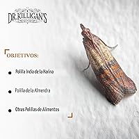 Vista 4 de Trampas para polillas para alacena de Dr. Killigan, atrae pestes por medio de feromonas, efectiva contra la polilla India de la harina, 100 % Negro
